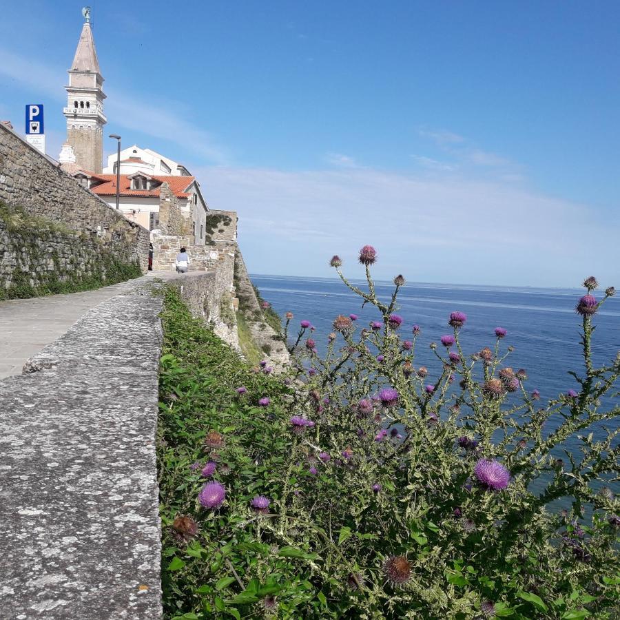 Apartments Olive Garden Piran Zewnętrze zdjęcie